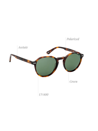 One Active Brown Green Sunglasses