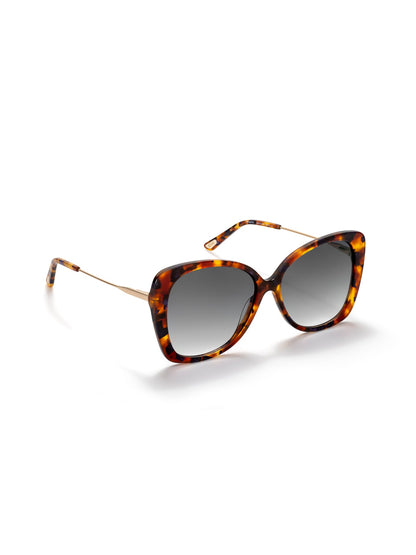 One Preppy Brown Sunglasses