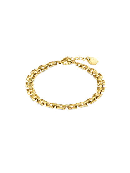 One Charming Link Bracelet