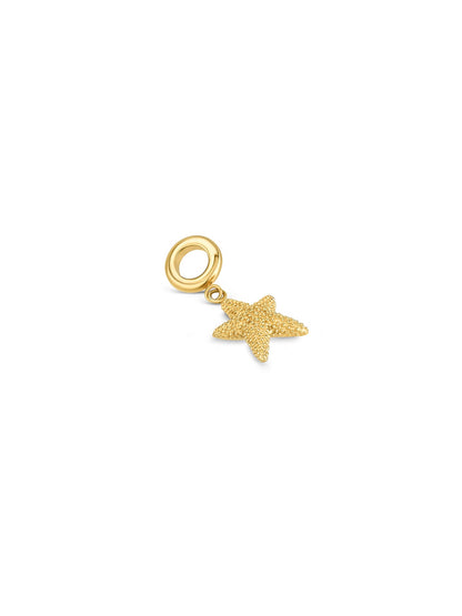 Charme One Energy Starfish