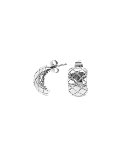One Delightful Silver Earrings