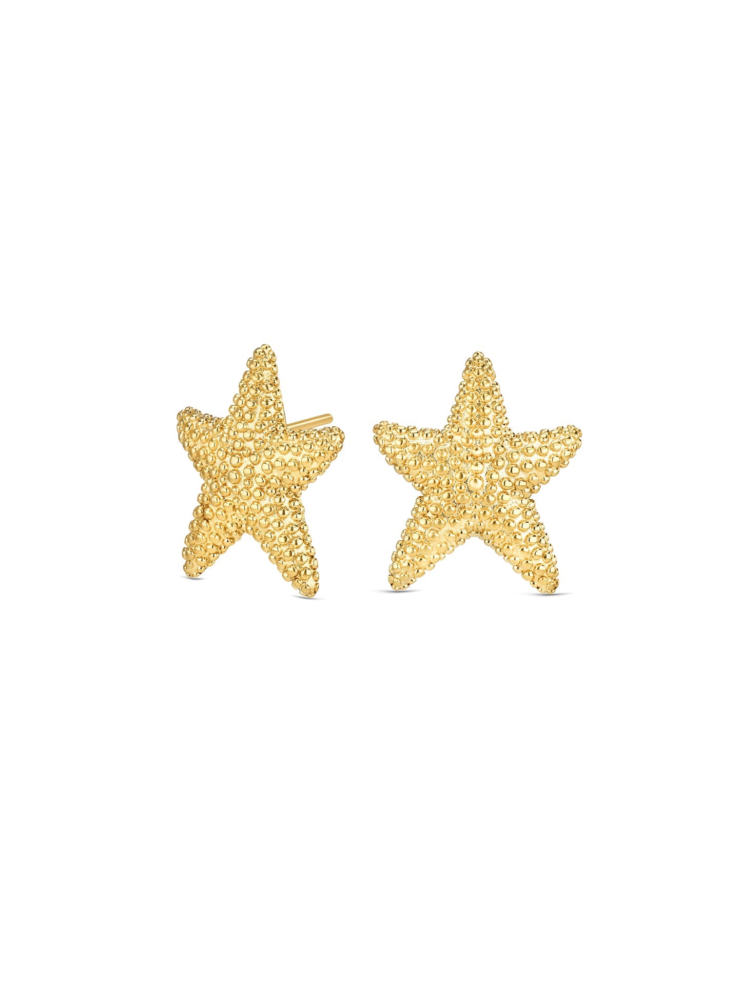 One Sunny Star Earrings