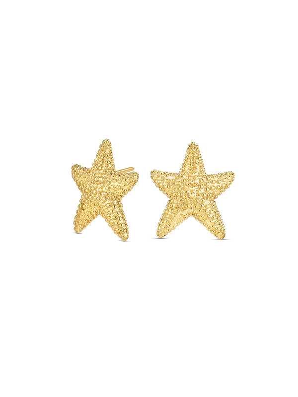One Sunny Star Earrings