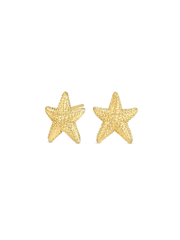 One Mini Sunny Star Earrings