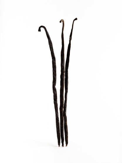 Perfume One Bloom