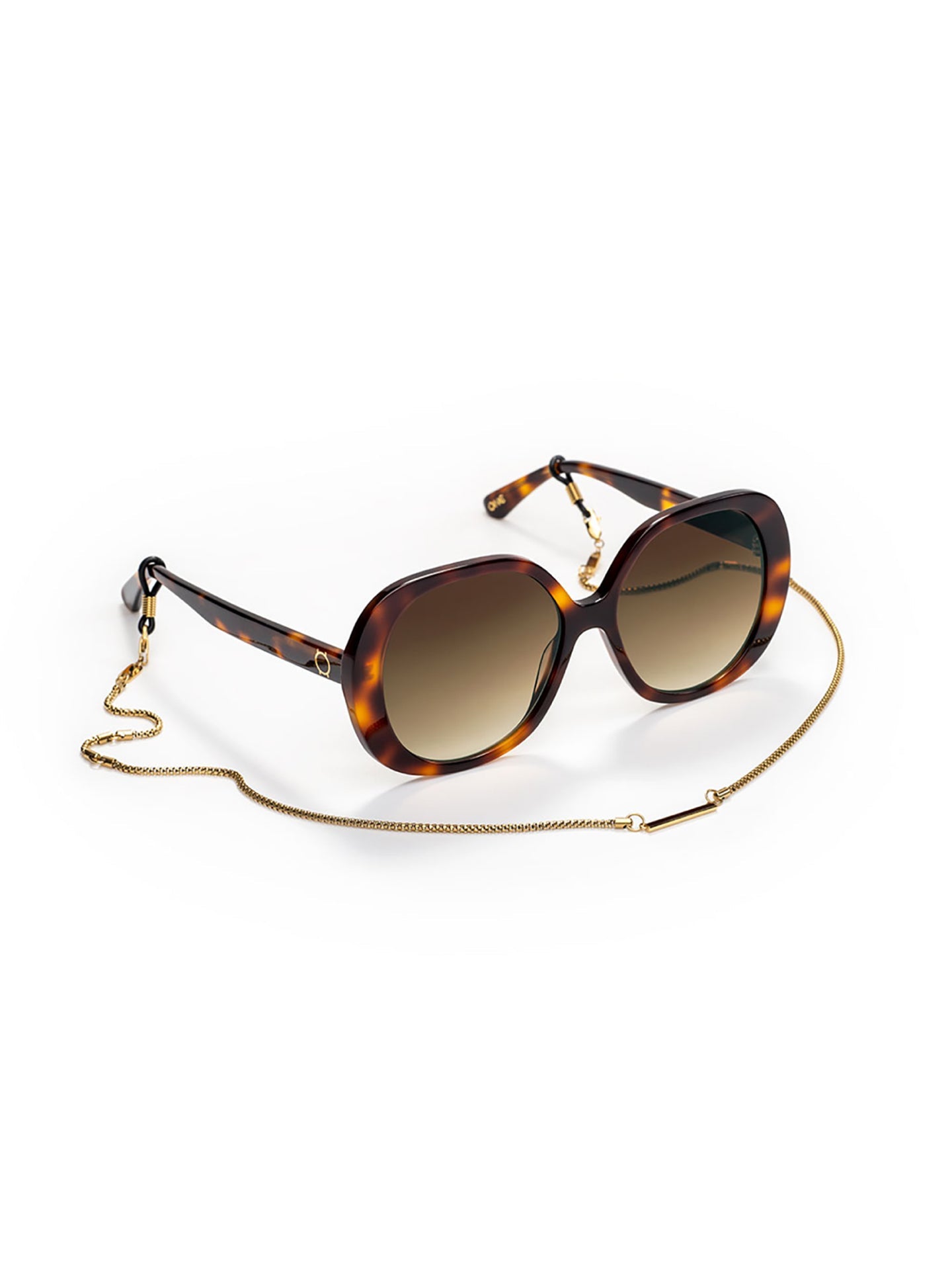 One Powerful Brown Sunglasses Case