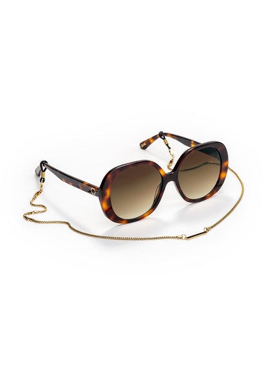 One Powerful Brown Sunglasses Case