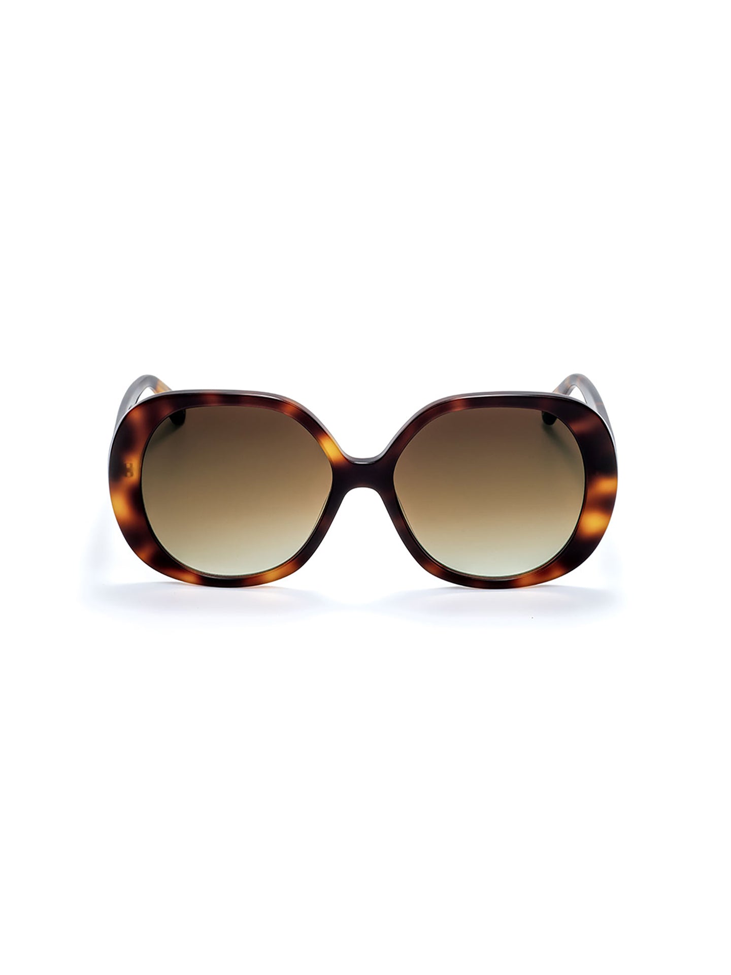 One Powerful Brown Sunglasses Case