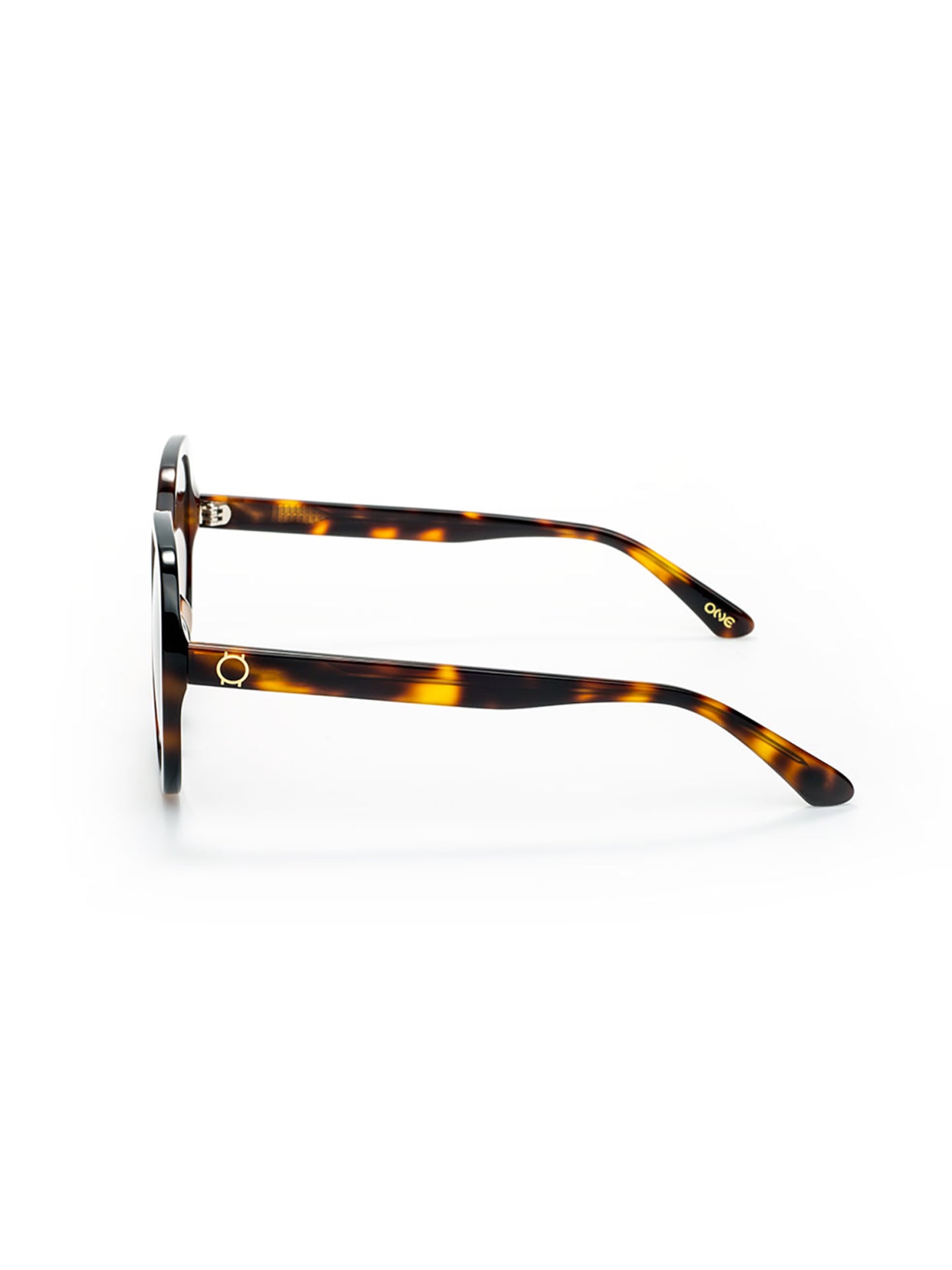 One Powerful Brown Sunglasses Case