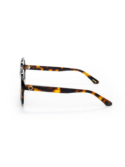 One Powerful Brown Sunglasses Case