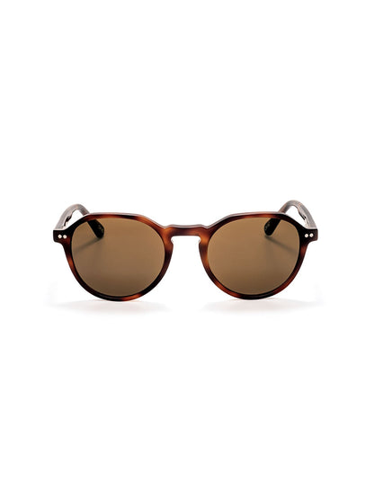 One Active Brown Sunglasses Case